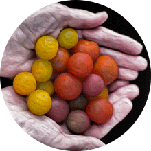kalulu-biologico-dalle-mani-del-produttore