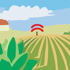 grafico_brioagro_campo