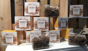 CricketPasta-SaC16-techfoodmag