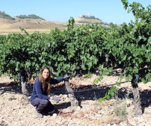 Elena-Rivilla-Pago-Carraovejas-techfoodmag