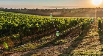 Orizont, la aceleradora agroalimentaria de Navarra, abre su tercera edición
