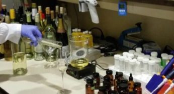 Vino sintético de AvaWinery: lo último en alimentos sustitutivos