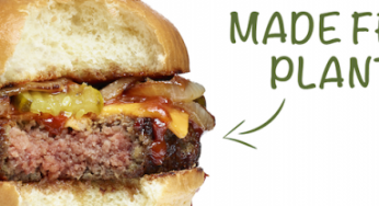 Google apunta hacia la compañía de hamburguesas veganas Impossible Foods