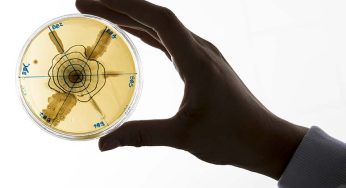 Cataluña invierte 7 millones en un centro de proteínas alternativas