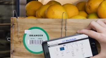 Blockchain of Food: Cuestión de transparencia y negocio