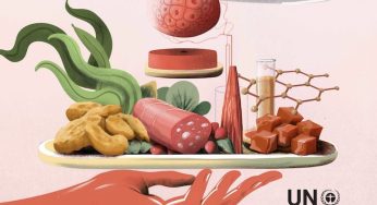 Pros y contras de las proteínas alternativas, según la ONU