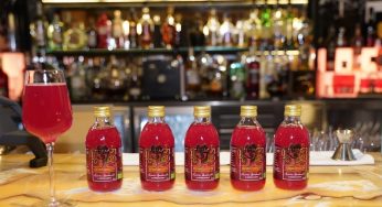La kombucha se anima en el canal horeca