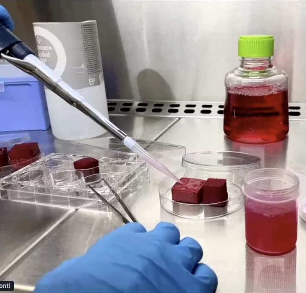 Proteina alternativa híbrida de NovaMeat