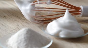 Nace Food Fermentation Europe para impulsar la fermentación de precisión en EU