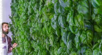 Vertical Farming: Jeff Bezos se apunta al carro con una inversión en Plenty