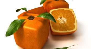 Jornada CNTA: Innovar en alimentación en tiempos de personalización