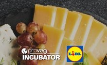 Lidl y ProVeg Incubator