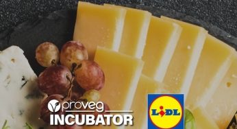 Lidl y ProVeg Incubator buscan innovación en quesos vegetales