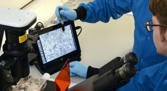 El gobierno de UK subvenciona con £1m el cell-based de Roslin Technologies