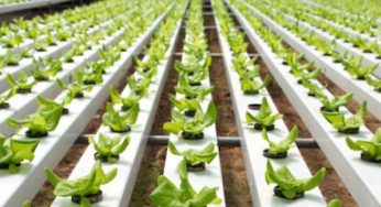 AgTech, pendientes de una cosecha prometedora