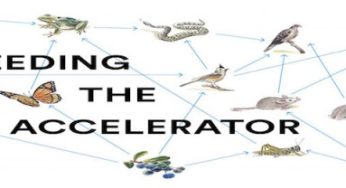 Las 10 estrellas FoodTech de FeedingTheAccelerator