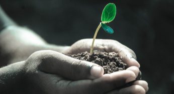 “Hay un estrecho vínculo entre la salud de nuestros suelos y la salud de las personas”