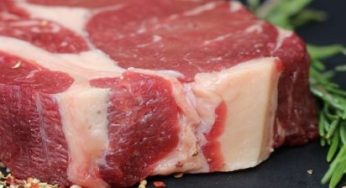 Impossible Foods se apunta también a filete