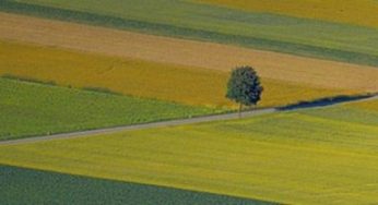 Los grandes acuerdos tiran de la inversión en AgriFood en la primera mitad de 2017