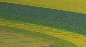 La inversión en el sector AgriFood Tech alcanza un nuevo récord en 2017, según AgFunder