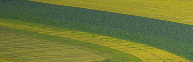 La inversión en el sector AgriFood Tech alcanza un nuevo récord en 2017, según AgFunder
