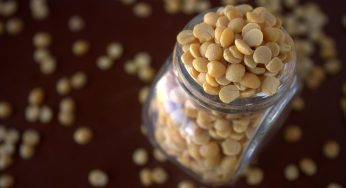 El 11% de las proteínas consumidas en el mundo podrían ser alternativas en 2035, según Food for thought