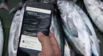 Cómo transformará Blockchain la forma de hacer la compra
